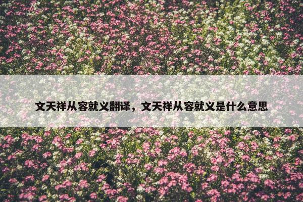 文天祥从容就义翻译，文天祥从容就义是什么意思