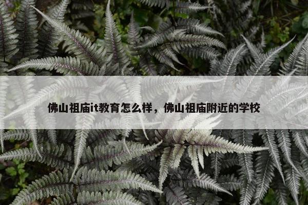 佛山祖庙it教育怎么样，佛山祖庙附近的学校