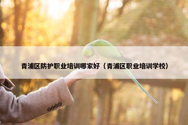 青浦区防护职业培训哪家好（青浦区职业培训学校）