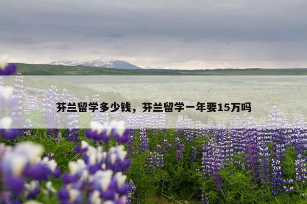 芬兰留学多少钱，芬兰留学一年要15万吗