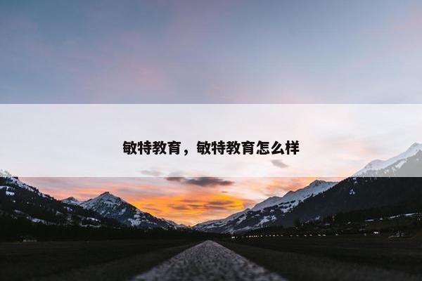 敏特教育，敏特教育怎么样