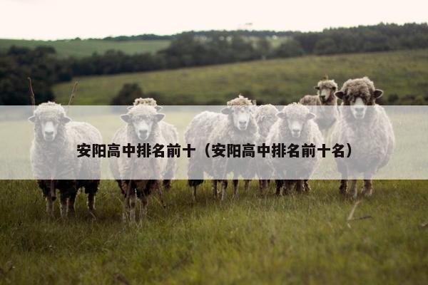 安阳高中排名前十（安阳高中排名前十名）