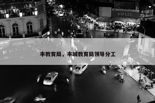 丰教育局，丰城教育局领导分工