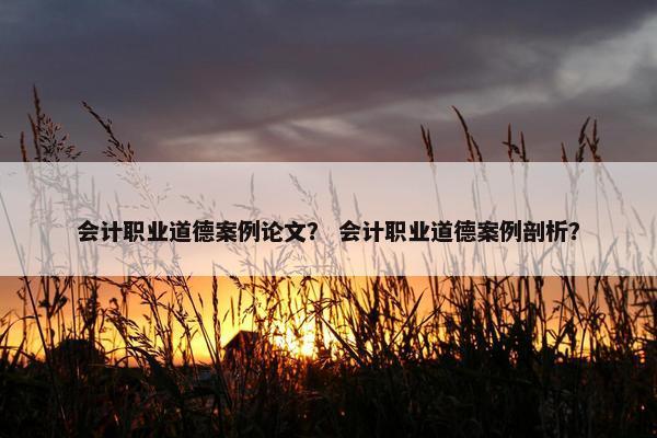 会计职业道德案例论文？ 会计职业道德案例剖析？