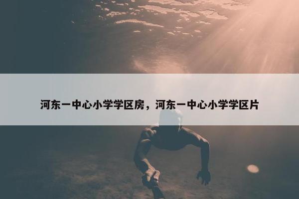 河东一中心小学学区房，河东一中心小学学区片