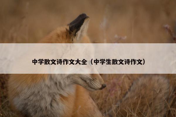 中学散文诗作文大全（中学生散文诗作文）