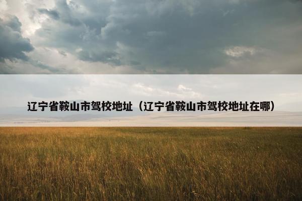 辽宁省鞍山市驾校地址（辽宁省鞍山市驾校地址在哪）