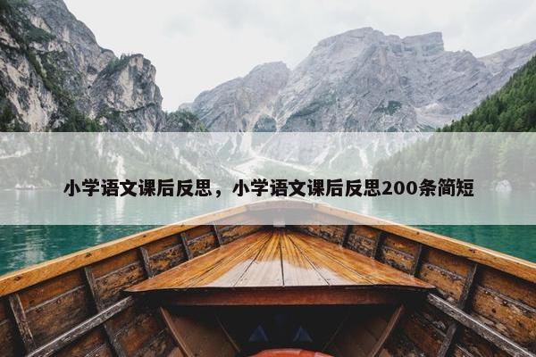 小学语文课后反思，小学语文课后反思200条简短