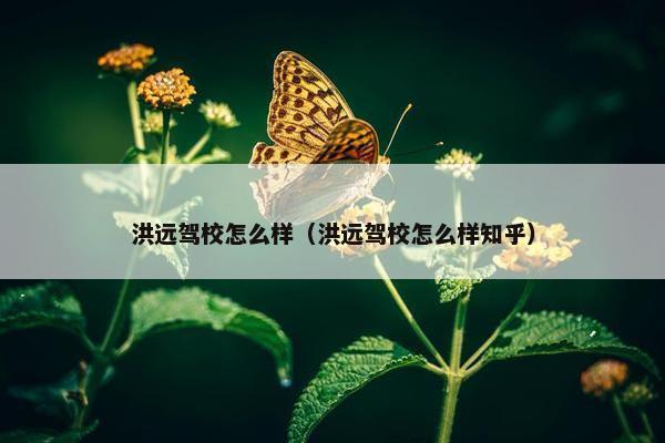 洪远驾校怎么样（洪远驾校怎么样知乎）