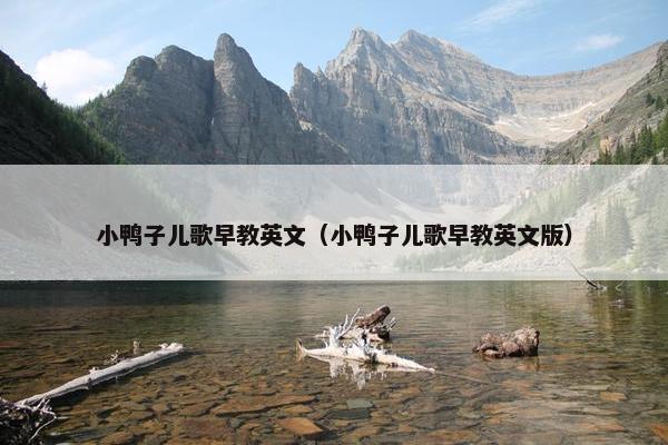 小鸭子儿歌早教英文（小鸭子儿歌早教英文版）