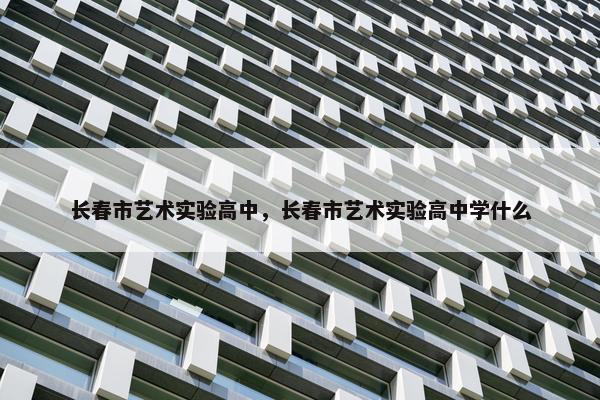 长春市艺术实验高中，长春市艺术实验高中学什么