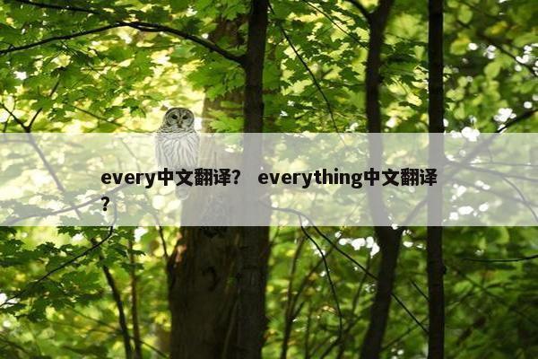 every中文翻译？ everything中文翻译？