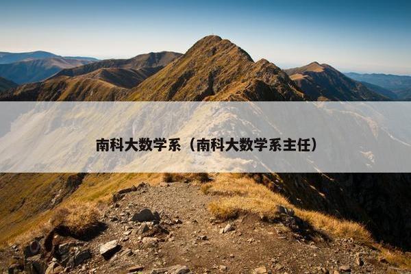 南科大数学系（南科大数学系主任）