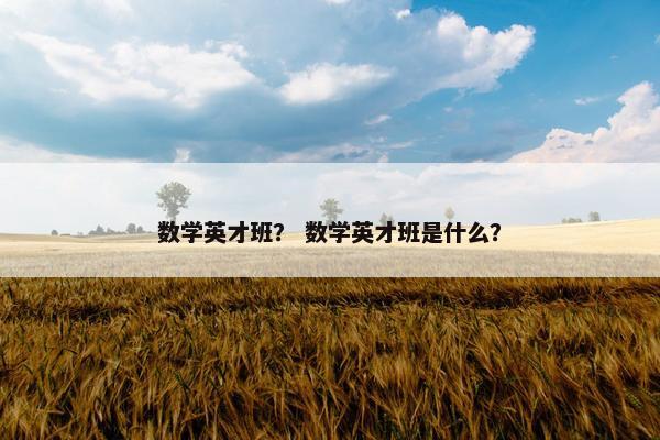 数学英才班？ 数学英才班是什么？