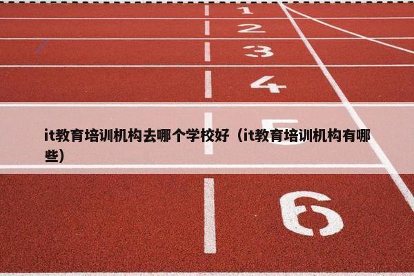 it教育培训机构去哪个学校好（it教育培训机构有哪些）