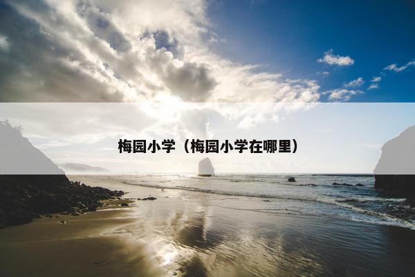 梅园小学（梅园小学在哪里）