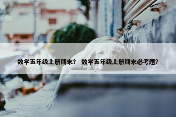 数学五年级上册期末？ 数学五年级上册期末必考题？