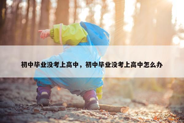 初中毕业没考上高中，初中毕业没考上高中怎么办