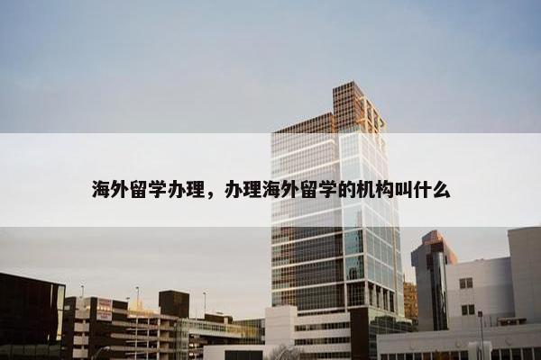 海外留学办理，办理海外留学的机构叫什么