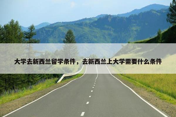 大学去新西兰留学条件，去新西兰上大学需要什么条件