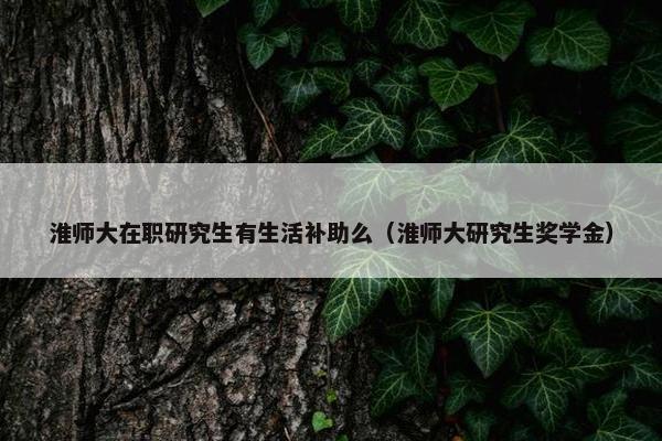 淮师大在职研究生有生活补助么（淮师大研究生奖学金）