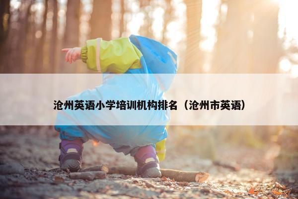 沧州英语小学培训机构排名（沧州市英语）