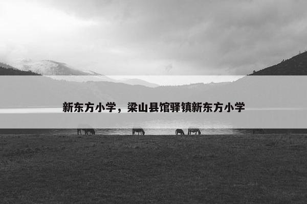 新东方小学，梁山县馆驿镇新东方小学