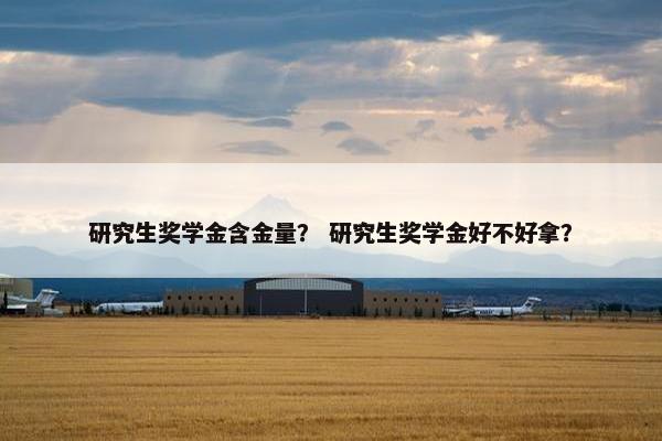 研究生奖学金含金量？ 研究生奖学金好不好拿？