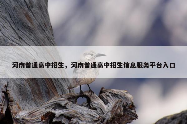 河南普通高中招生，河南普通高中招生信息服务平台入口