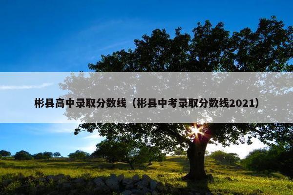 彬县高中录取分数线（彬县中考录取分数线2021）