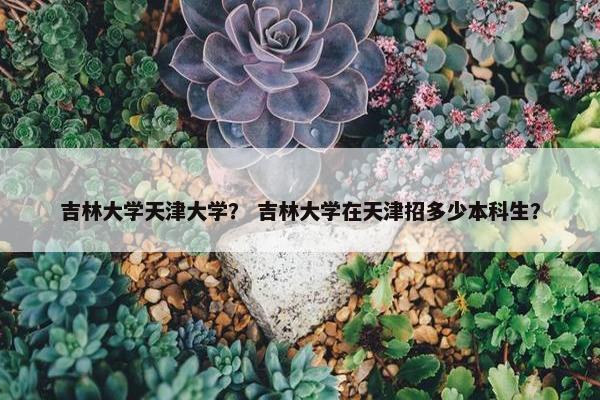 吉林大学天津大学？ 吉林大学在天津招多少本科生？