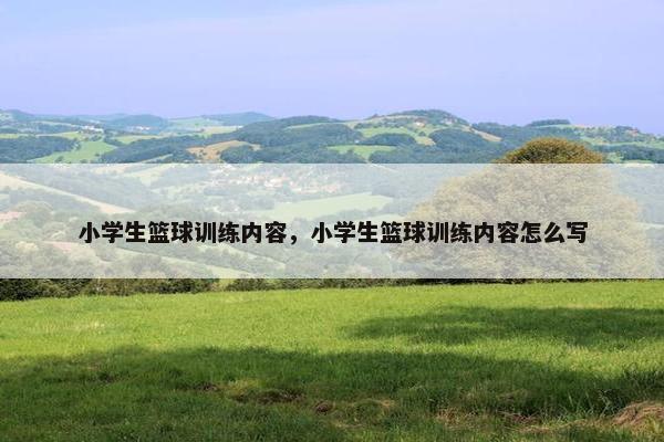 小学生篮球训练内容，小学生篮球训练内容怎么写