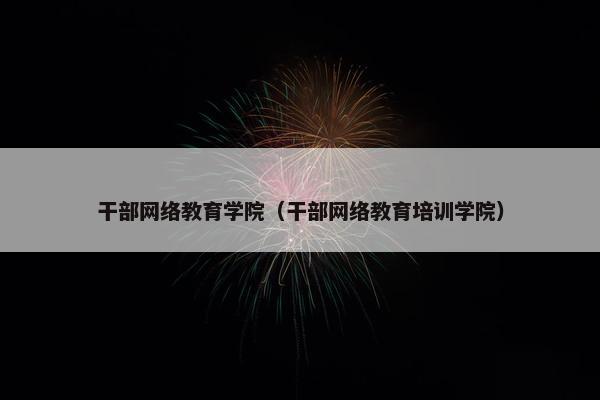 干部网络教育学院（干部网络教育培训学院）