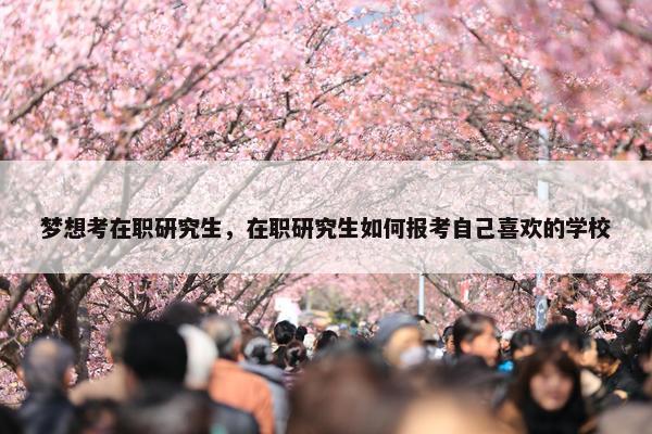 梦想考在职研究生，在职研究生如何报考自己喜欢的学校