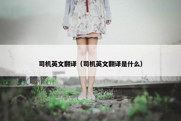 司机英文翻译（司机英文翻译是什么）