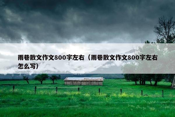 雨巷散文作文800字左右（雨巷散文作文800字左右怎么写）
