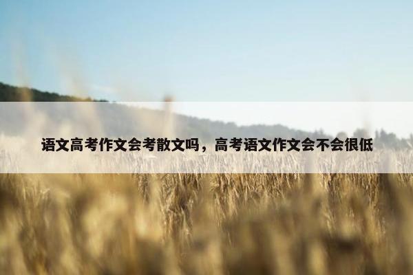 语文高考作文会考散文吗，高考语文作文会不会很低