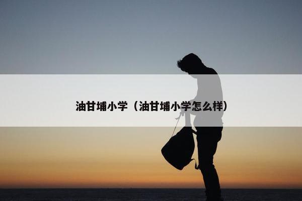 油甘埔小学（油甘埔小学怎么样）