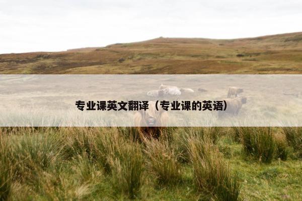 专业课英文翻译（专业课的英语）