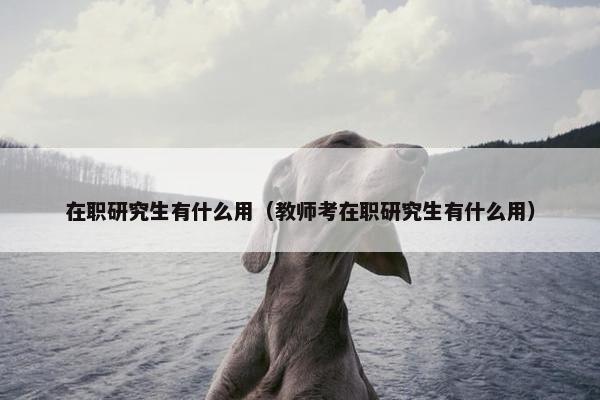 在职研究生有什么用（教师考在职研究生有什么用）