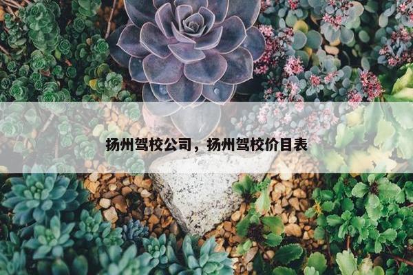 扬州驾校公司，扬州驾校价目表