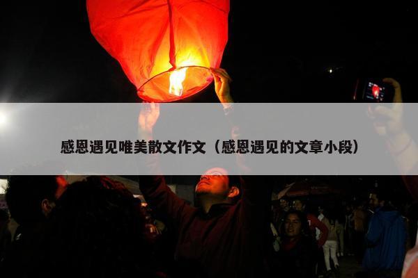 感恩遇见唯美散文作文（感恩遇见的文章小段）