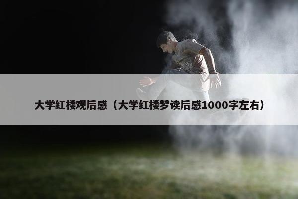 大学红楼观后感（大学红楼梦读后感1000字左右）