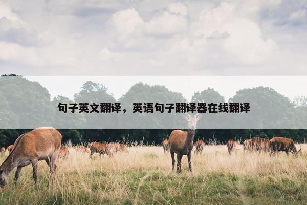 句子英文翻译，英语句子翻译器在线翻译