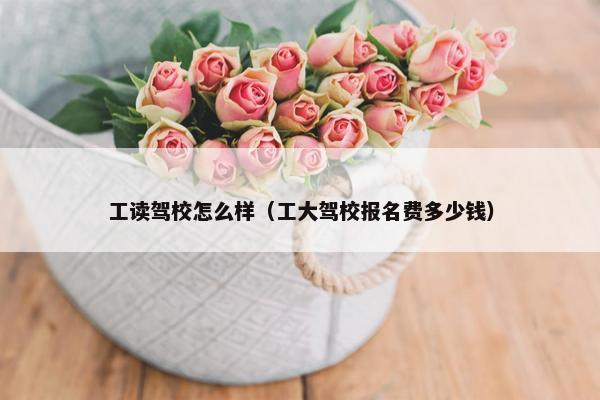 工读驾校怎么样（工大驾校报名费多少钱）
