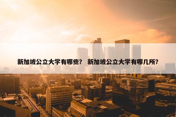 新加坡公立大学有哪些？ 新加坡公立大学有哪几所？