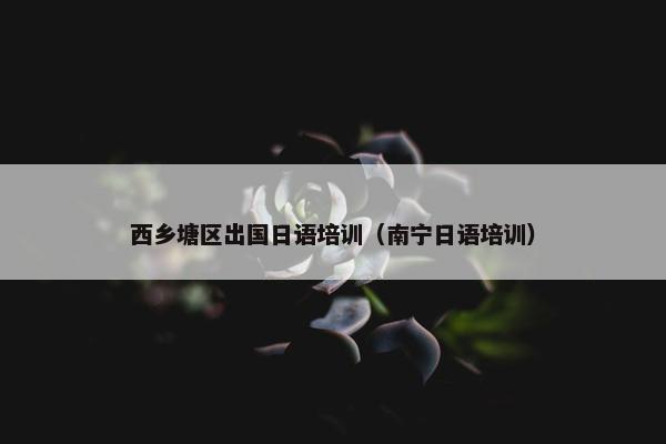 西乡塘区出国日语培训（南宁日语培训）