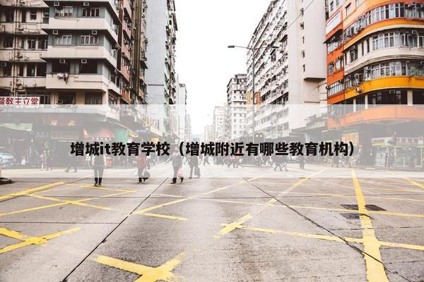 增城it教育学校（增城附近有哪些教育机构）