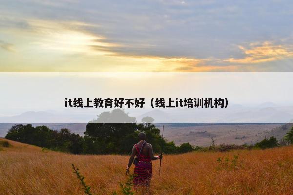 it线上教育好不好（线上it培训机构）