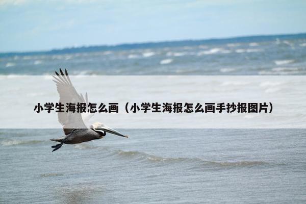 小学生海报怎么画（小学生海报怎么画手抄报图片）